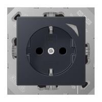 SCHUKO Steckdose BT A 1521 S ANM