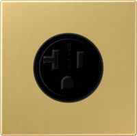Steckdose US-Norm NEMA ME 2521-20 C