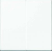 Steuertaste 2-fach A1702WW