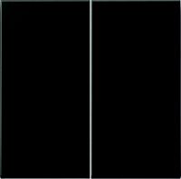 Steuertaste Standard 2-fach AL 1702 AN anthrazit matt