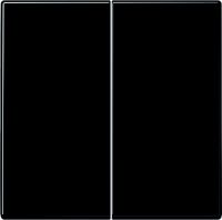 Steuertaste Standard 2-fach LS 1702 SW schwarz
