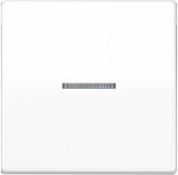 Taster 1fach BT AS 17101 WW