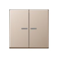 Taster 2fach BT A 17102 CH