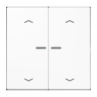 Taster 2fach BT LS 17102 P WW