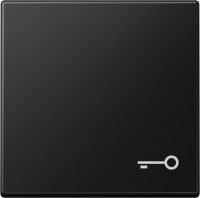 Wippe 1-fach A 590 T SWM