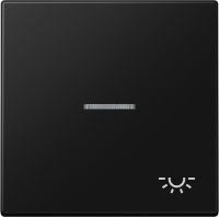 Wippe 1-fach LS 990 KO5 L SWM