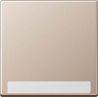 Wippe mit Schriftfeld A 590 BF NA CH