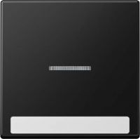 Wippe mit Schriftfeld A 590 BF NA KO5 SWM