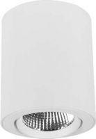 LED-Anbau-Downlight BTN-A 302.30.50DA ws