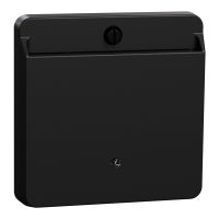 Card-Schalter sw matt MEG3854-0403