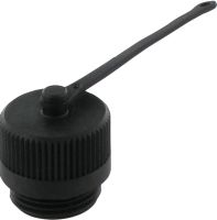 Verschlussschraube 55385
