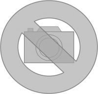 Steigetrassendeckel STD 250.200