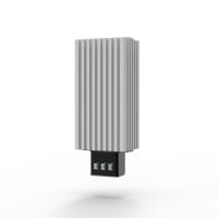 Heizung 100W EHG100