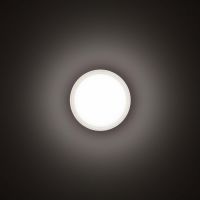 LED-Wand-/Deckenleuchte 3109455