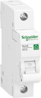 Leitungsschutzschalter R9F27116