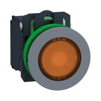 Leuchtdrucktaster XB5FW35G5C0
