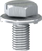 Schraube m.Scheibe AF1VA410