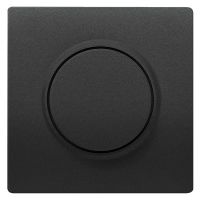 Abdeckplatte 5TC8912-0AC