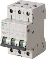Leitungsschutzschalter 5SL4303-6