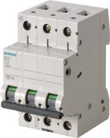 LS-Schalter 5SL6306-7