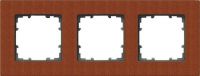Rahmen 3-fach 5TG1103-2