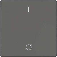 Wippe m.Symbol IO 5TG6222