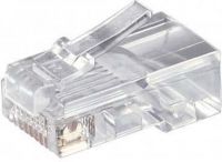 RJ12 Stecker 8(8) 58627