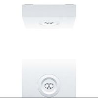 Sicherheitsleuchte RESCLITE P #42930002