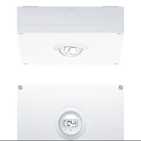Sicherheitsleuchte RESPRO MSC #42937869