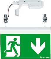 Sicherheitszeichenleuchte PURESIGN #42934380