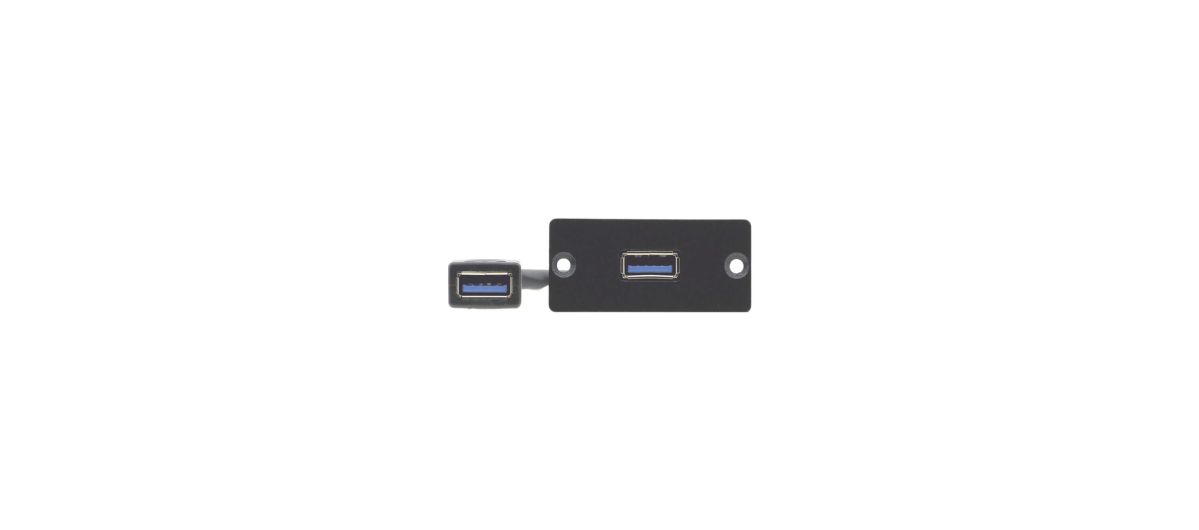 Wall-Plate Einsatz WU3-AA(B) Wall-Plate Einsatz WU3-AA(B)