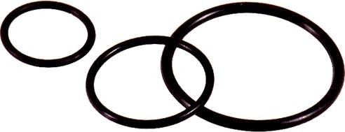 O-Dichtring O-RING M63/57x2 O-Dichtring O-RING M63/57x2