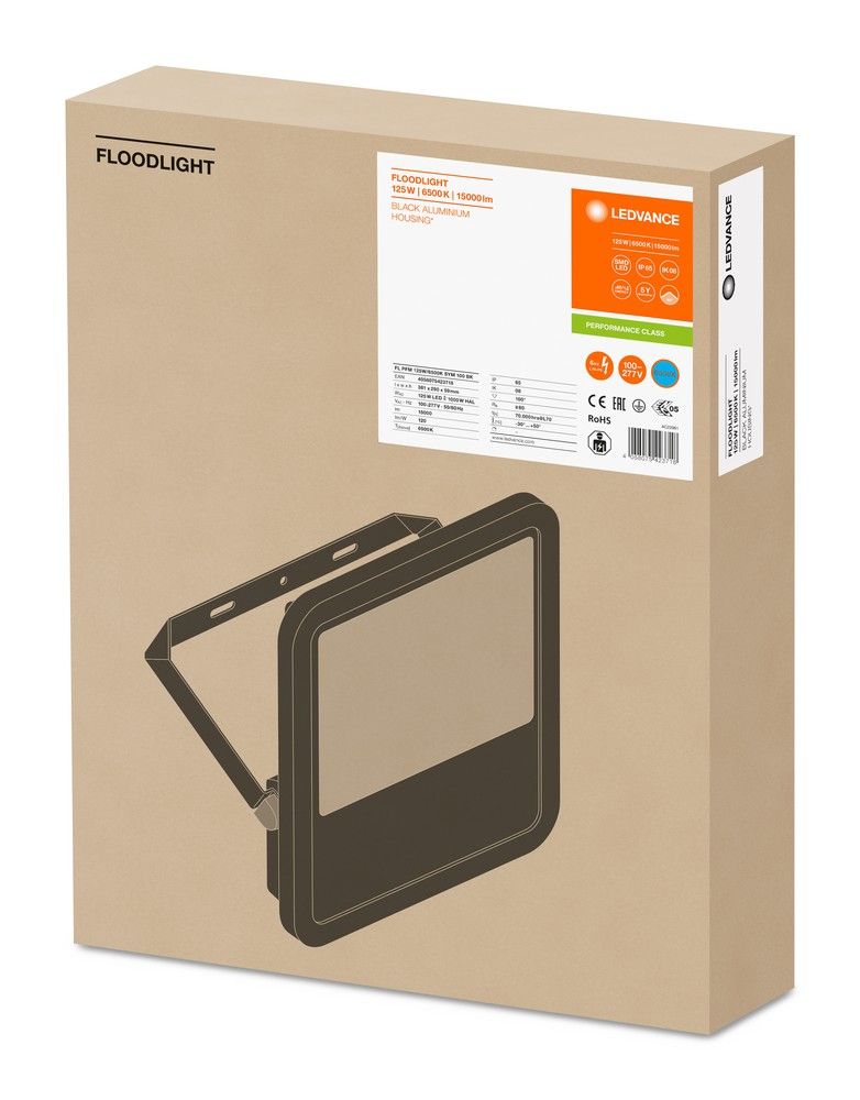 LED-Fluter FLPFM125W6500KSYM100