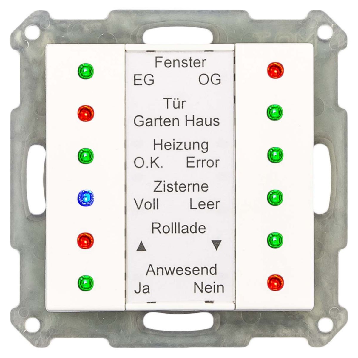 LED Anzeige SCN-LED55.01