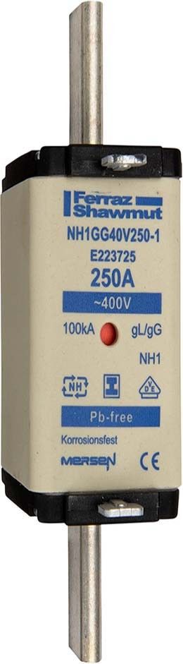 NH-Sicherungseinsatz NH1GG40V35-1
