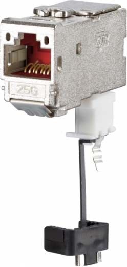 Datenanschlussdose 130B12-25-E Datenanschlussdose 130B12-25-E