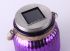 LED Gartenlicht Solar 19881-86 purpur-violett