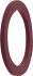 Dichtungsscheibe AFWS-PG13 VF RD 100