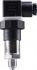 Druckmessumformer Basic 00546121
