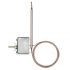 Temperaturregler 60000220
