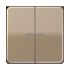 Taster 2fach BT CD 17102 GB
