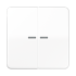 Taster 2fach BT CD 17102 GB