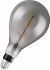 LED-Vintage-Lampe 1906LEDBGRP5W818FSM