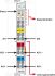 AS-Interface Master 750-655