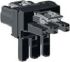 Verteiler 770-665