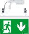 LED-Rettungszeichenleuchte PURESIGN/C #42186088