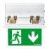 LED-Sicherheitsleuchte ARTSIGN 75 #42185923