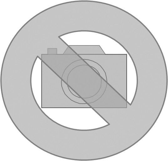 Steigetrassendeckel STD 200.400 F