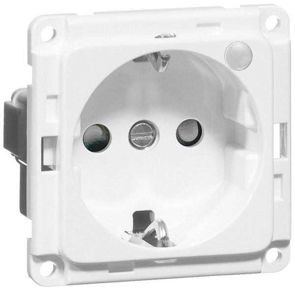 SCHUKO-Steckdose rws D 6611.02 ME GLK SI