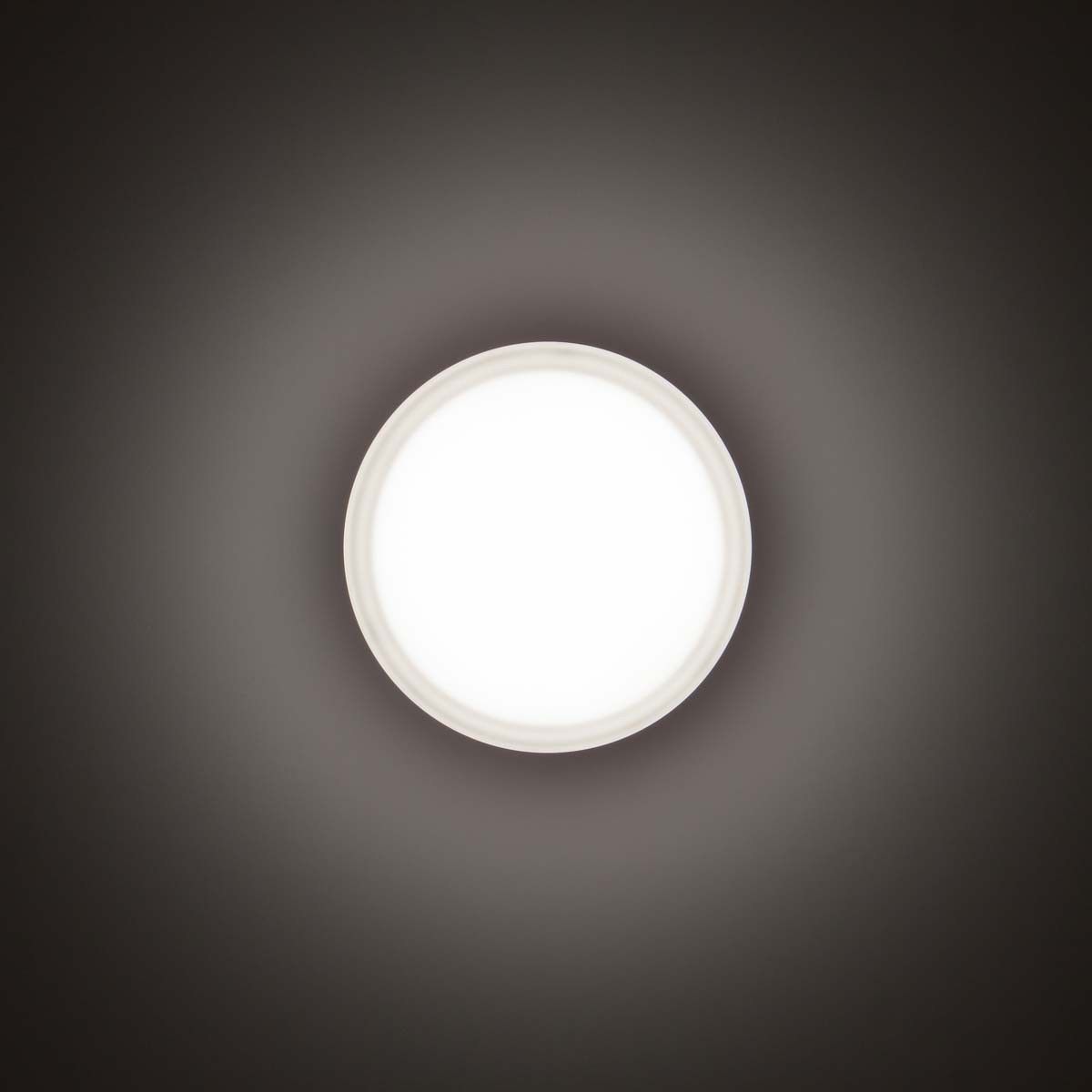 LED-Wand-/Deckenleuchte 3109458
